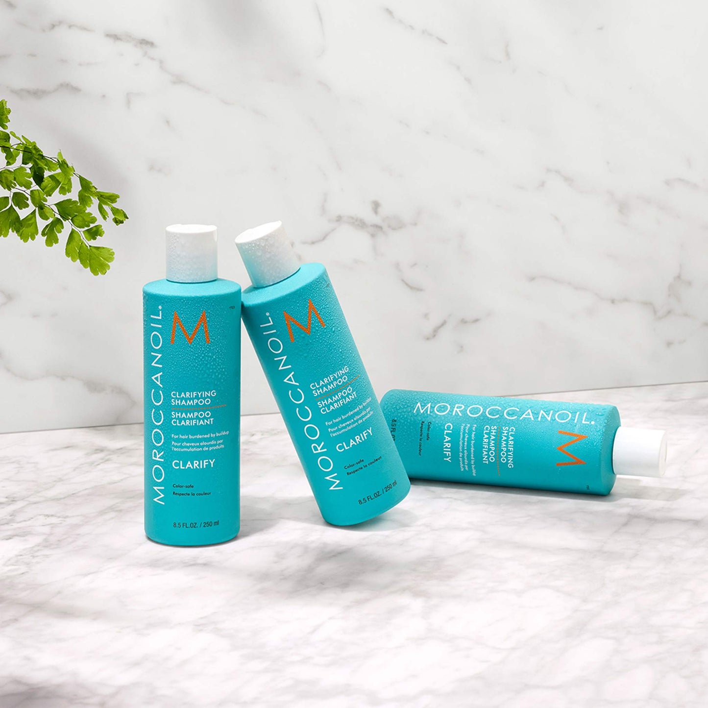 Moroccanoil Clarifying Shampoo