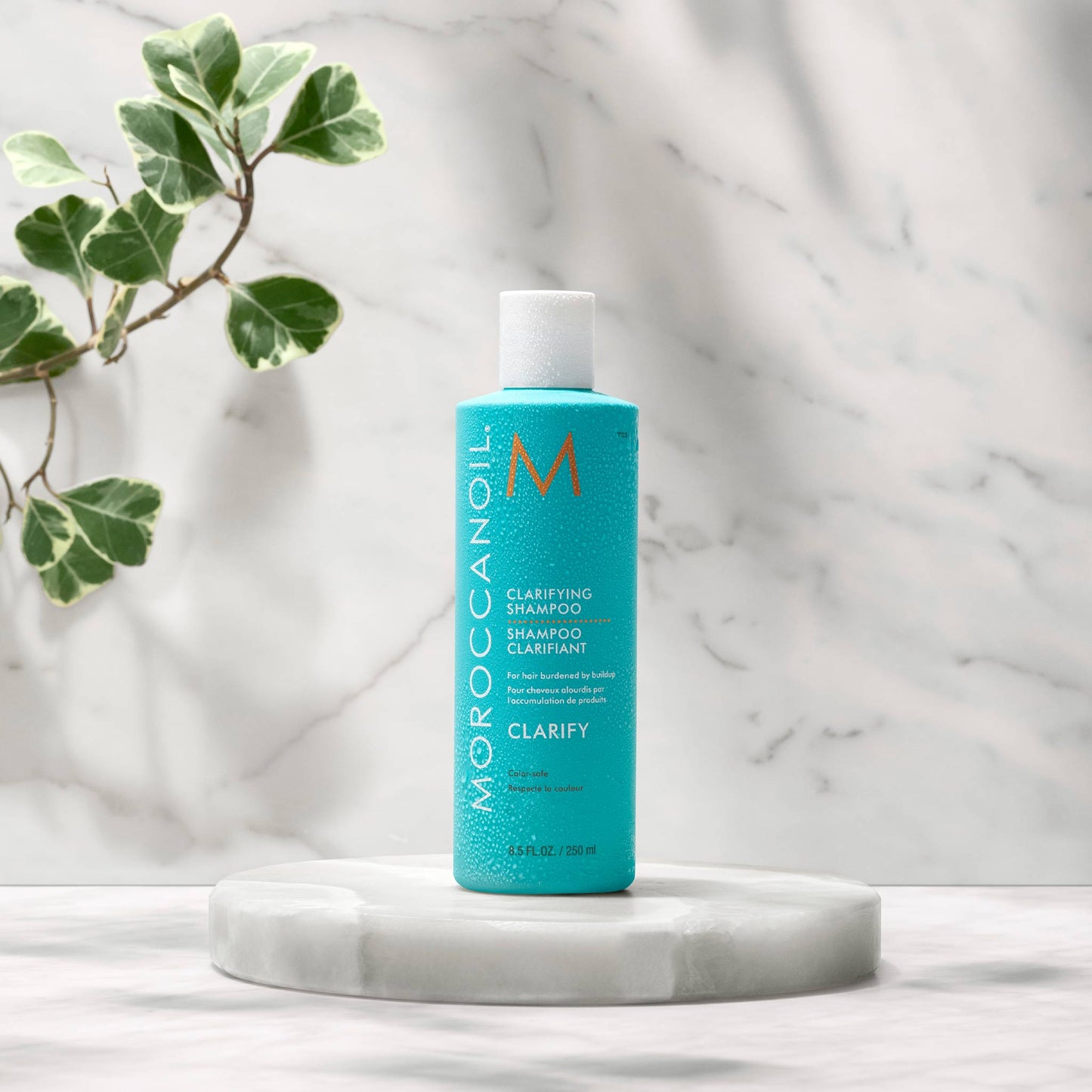 Moroccanoil Clarifying Shampoo
